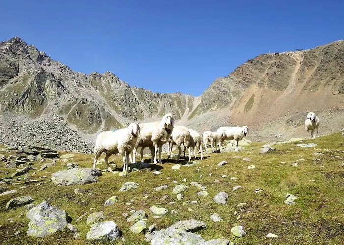 Bergkristall By Interhome *