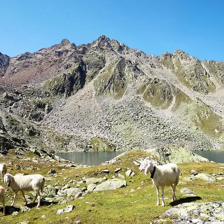 Bergkristall By Interhome Appartement